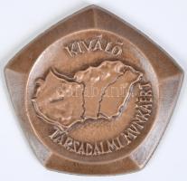 ~1970. "Kiváló Társadalmi Munkáért" Br plakett dísztokban (84mm) T:1,1-