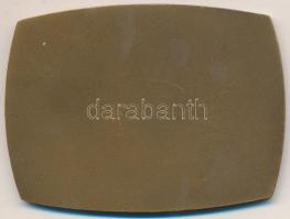 1967. "75 éves az Országos Magyar Bányászati és Kohászati egyesület" Br plakett dísztokban...