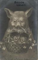 New Year, Pig with cats