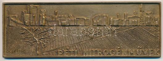 ~1980. "Péti Nitrogénművek" Br plakett eredeti tokban (148x52mm) T:1-