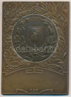 ~1930-1940. "PSE 1899 (Postás Sport Egyesület)" Br emlékplakett (57x42mm) T:2