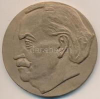 Bulgária ~1950. "Georgi Dimitrov 1882-1949" Br emlékplakett (60mm) T:1- Bulgaria ~1950. "Georgi Dimitrov 1882-1949" Br commemorative medallion (60mm) C:AU