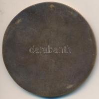 DN "Budapesten Akkreditált Katonai Attasék" Br plakett (62mm) T:2