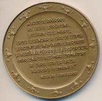 Románia / Suceava 1977. "III. István moldvai fejedelem" Br emlékérem (60mm) T:2
Romania / ...