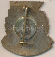 DN "Duna Törzsgárda 10 év - 1841) zománcozott jelvény T:2