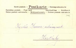 1900 Floral frame, lady s: Jack Abeille