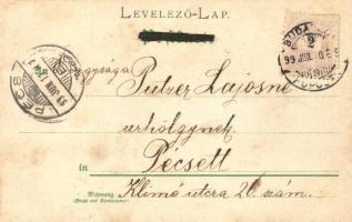 1899 Babies on a tree, litho (fl)