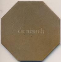 1980. "Országos Erdészeti Egyesület Vándorgyűlés Gödöllő" Br emlékérem (56mm) T:1