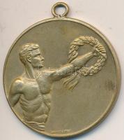 1933. aranyozott Br díjérem "Gábor Gyulának". Szign.: ARKANZAS BPEST (40mm) T:2