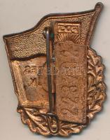 NDK DN "Freie Deutsche Jugend (FDJ) Tudásért" zománcozott ifjúsági jelvény, sorszámozott T...