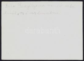 cca 1900 Mikó Béla gróf a seregélyi kastélyban az íróasztalánál, 14 éves korában, hátulján feliratoz...