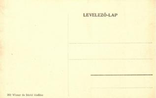 Máramarossziget, Rákóczi út, Steinmetz kereskedése; Wizner és Dávid kiadása / street with shop