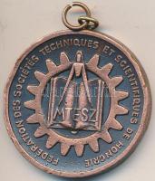 1971. "Műszaki és Természettudományi Egyesületek Szövetsége MTESZ / Magyar műszaki és tudományos napok Casablanca" Br emlékérem szign.:FÓÉV Budapest (40mm) T:2- ph,füllel Hungary 1971. "Federation of scientific and technical societies of Hungary MTESZ / Hungarian technical and scientific days Casablanca" Br commemorative medallion (40mm) sign.:FÓÉV Budapest C:VF edge error,with ear