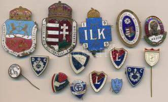 15db iskolajelvény, főleg régiek, zománcozott és jobb darabokkal T:vegyes