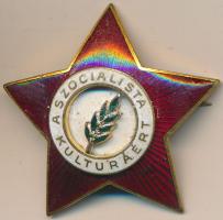 ~1970. "A Szocialista Kultúráért" aranyozott, zománcozott kitüntetés T:2