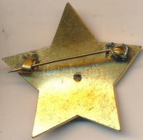 ~1970. "A Szocialista Kultúráért" aranyozott, zománcozott kitüntetés T:2