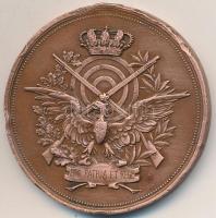 DN "Pro patria et rege" Br lövész díjérem (39mm) T:3 ph,fülnyom ND "Pro patria et rege" Br marksman medallion (39mm) C:F edge error,ear mark