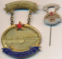 ~1955. "Országos Vízügyi Főigazgató / A Vízgazdálkodás Kiváló Dolgozója" aranyozott, zománcozott fém kitüntetés és miniatűr kitűző T:1-,2