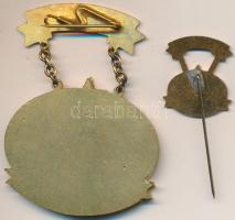 ~1955. "Országos Vízügyi Főigazgató / A Vízgazdálkodás Kiváló Dolgozója" aranyozott, zomán...