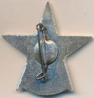 ~1960. "SZOT (Szakszervezetek Országos Tanácsa)" zománcozott, aranyozott fém kitüntető jel...