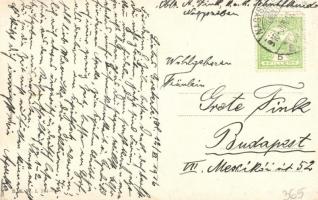 'Treue Wacht in Südwesten' Austrian military WWI B.K.W.I. 164-2