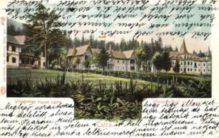 Tátra Virágvölgy, Blumenthal; Feitzinger Ede 90. (fa)