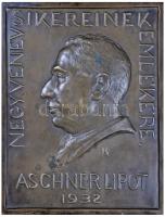 Gárdos Aladár (1878-1944) 1932. "Aschner Lipót - Negyven év sikereinek emlékére" Br plakett, csavaros hátoldal (234x182mm) T:2 Hungary 1932. "Lipót Aschner - For success of 40 years" Br plaque with screw back. Sign.: Aladár Gárdos (234x182mm) C:XF HP: 2486.