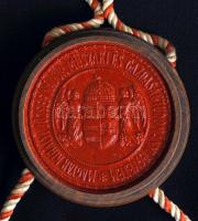 1938 Bp., Magyar Királyi József-Műegyetem által kiadott gépészmérnöki diploma ép függőpecséttel