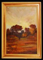 Határi jelzéssel: Derengő alak. Olaj, farost, keretben, 60×40 cm