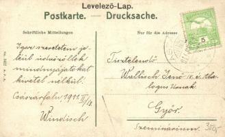 Lándzsér, Landsee (Sopronszentmárton) Várrom / castle ruins