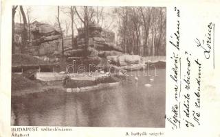 Budapest XIV. Állatkert, Hattyúk szigete (EK)