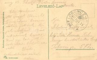 Balassagyarmat, Vármegyeháza, Wertheim Zsigmond kiadása