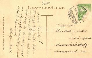 Dicsőszentmárton, Megyeház; László Géza kiadása / county hall