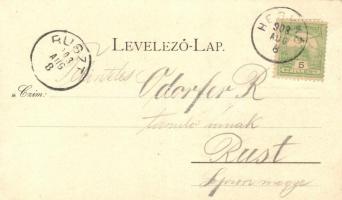 Hegykő, Lex-féle nagyvendéglő, főtér, katolikus templom és iskola; kiadja Kummert Lajos, floral