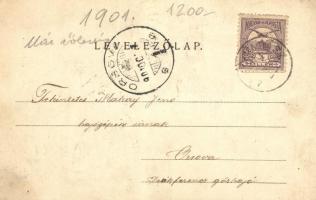 Gönc, Károlyi Gáspár szobra