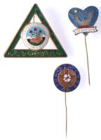 3db zománcozott jelvény és kitűző: "Debrecen", "Ifjúsági Túravezető", "Turista CSSR" T:2