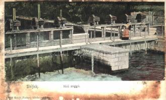 Siófok, Siói zuggó, Reich Farkas kiadó tulajdonos (fl)