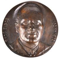 Várady Lajos (1911-1998) DN "Radó Tibor 1924-1972" öntött Br plakett (134mm) T:2 ragasztásnyom