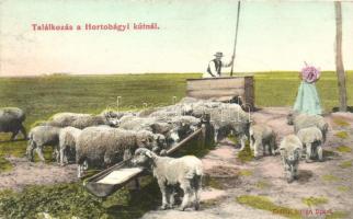 Hortobágy, Találkozás a kútnál (EK)