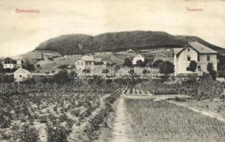 Badacsony, Nyaralók (EK)