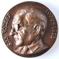 Sós András (1943-) 1989. "Sós József 1906-1972" / "A Magyar Táplálkozástudományi Társaság" Br jutalomérme (86-87mm) T:2