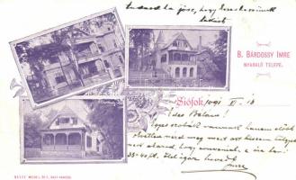 Siófok, B. Bárdossy Imre nyaraló telepe floral Art Nouveau (vágott / cut)