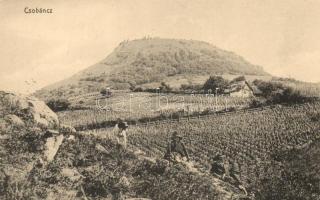 Csobánc, szőlőgazdaság (EK)