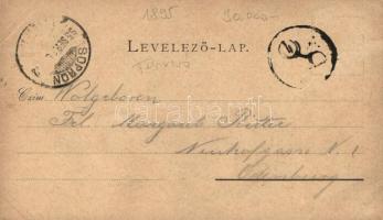 1895 (!) Fraknó, Forchtenstein; A. Wegscheidler kastély vendégháza / guest house, floral Art Nouveau...