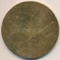 Szombathelyi László (1943-) 1968. "Verseghy Diáknapok Szolnok" aranyozott Br plakett (60mm...