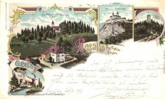 1898 Fraknó, Forchtenstein; Carl Wutzlhofer vendégháza, vár, kilátó / guest house, castle, lookout tower floral Art Nouveau litho (Rb)