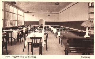 Budapest XII. Svábhegy, Dréher nagyvendéglő és kávéház belső (EK)