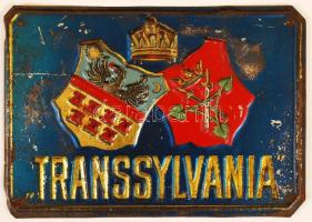 cca 1910 Transsylvania biztosító társaság zománc reklámtáblája / Enameled table of the TRanssyvania insurance company 18x13 cm