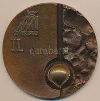 Csíkszentmihályi Róbert (1940-) 1980. "OMÉK II. díj / 69. Országos Mezőgazdasági és Élelmiszeripari Kiállítás és Vásár Budapest" öntött Br díjérem (78mm) T:2