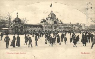 Budapest XIV. Városliget, nagy jégpálya, korcsolyázók, Divald (Rb)